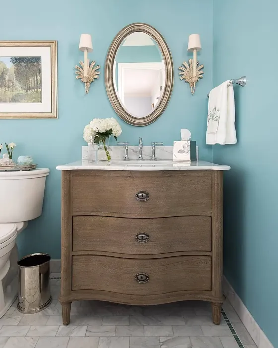 Chesapeake Blue bathroom color