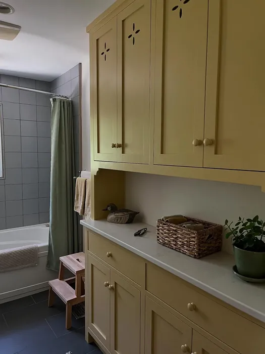 Benjamin Moore Chestertown Buff bathroom vanity color