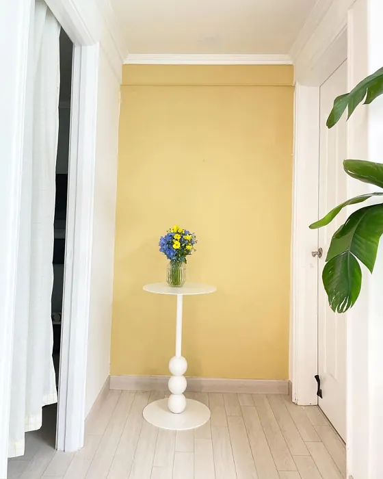 Chestertown Buff hallway accent wall