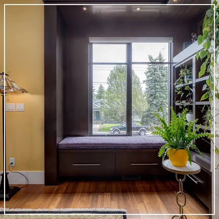 Benjamin Moore Chestertown Buff wall paint review