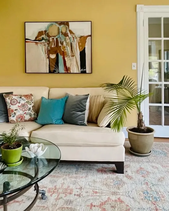 Benjamin Moore Chestertown Buff living room paint