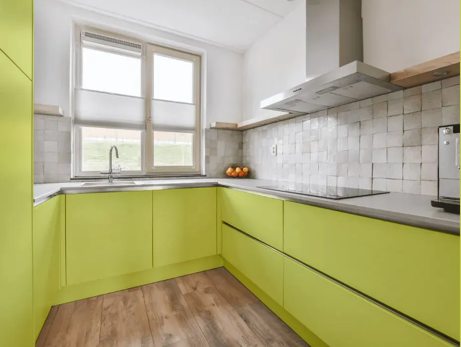 Benjamin Moore Chic Lime small kitchen cabinets