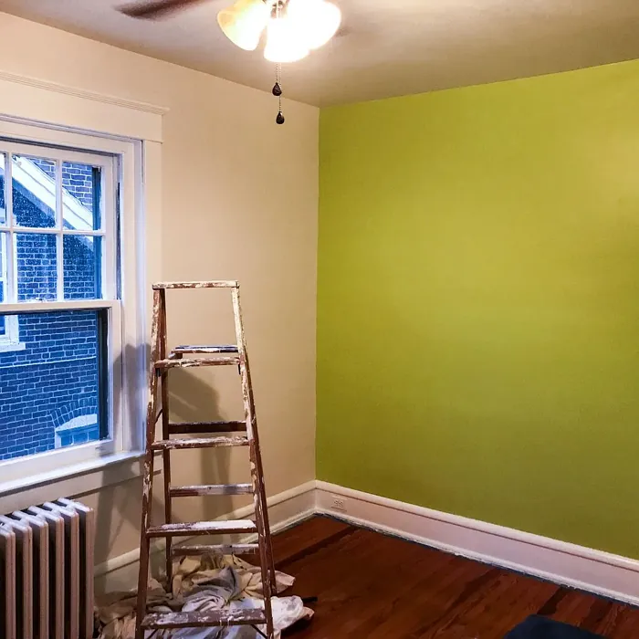 Benjamin Moore Chic Lime accent wall color