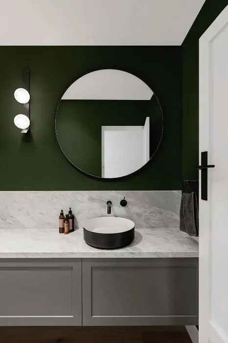 Benjamin Moore Chimichurri minimalist bathroom