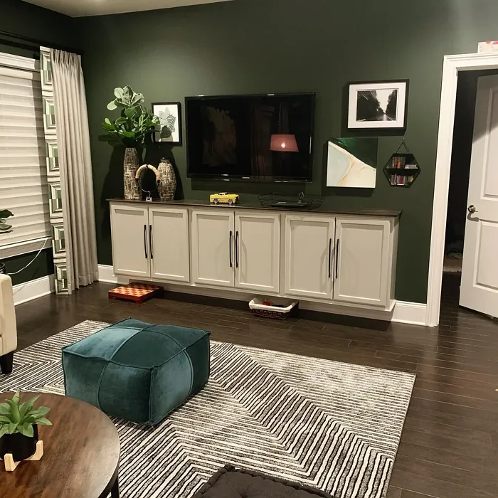 Benjamin Moore Chimichurri living room paint review