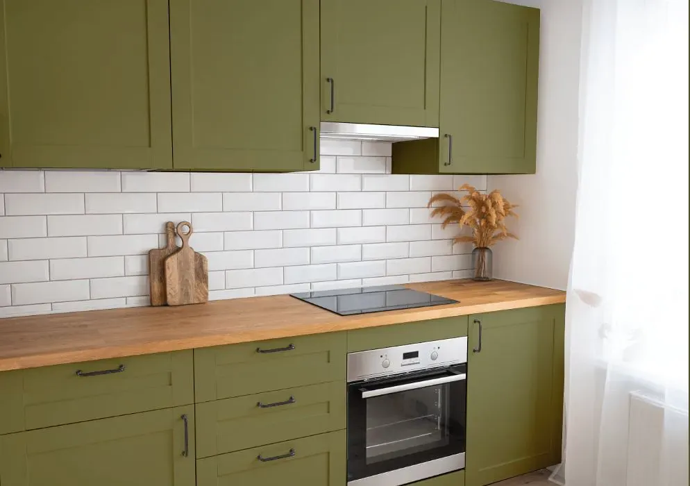 Benjamin Moore Chopped Dill kitchen cabinets