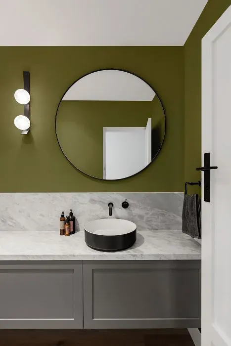 Benjamin Moore Chopped Dill minimalist bathroom