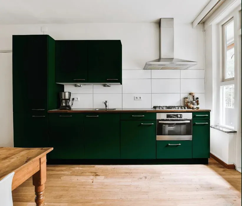 Benjamin Moore Chrome Green kitchen cabinets