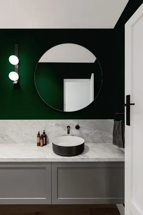 Benjamin Moore Chrome Green minimalist bathroom