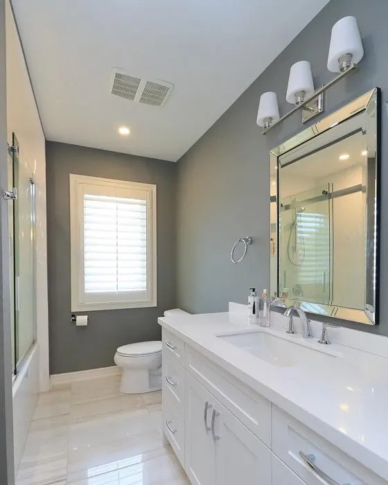 Benjamin Moore Cinder bathroom paint