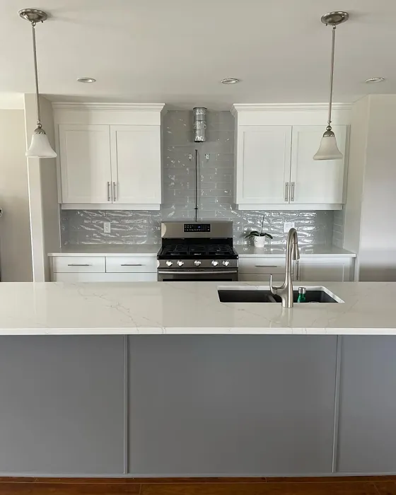 Benjamin Moore Cinder kitchen cabinets 