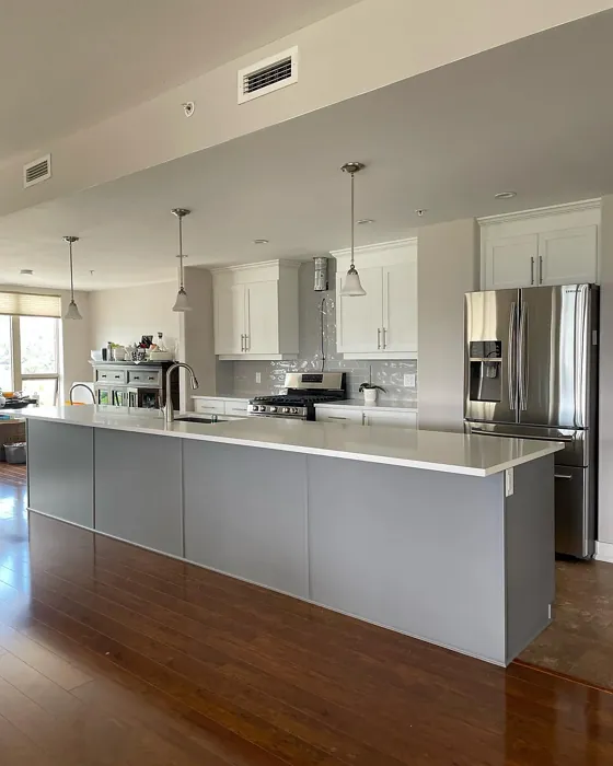 Benjamin Moore Cinder kitchen cabinets color