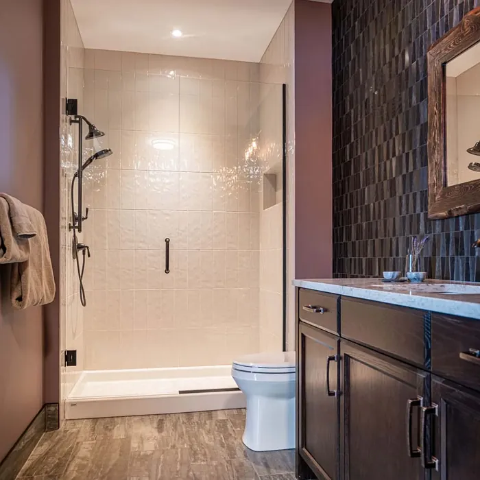 Benjamin Moore Cinnamon Slate bathroom review