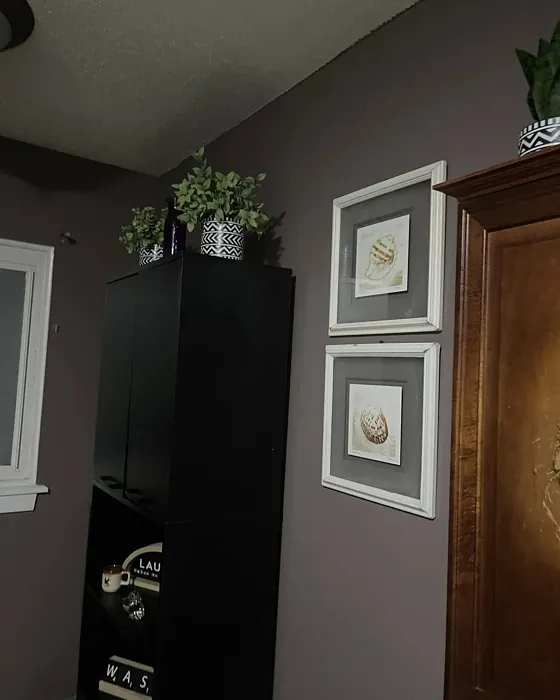 Cinnamon Slate wall paint photo