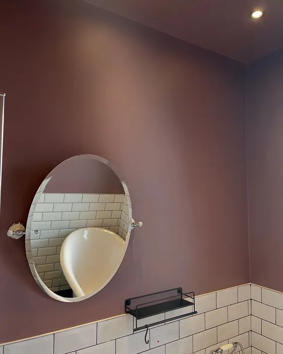 Cinnamon Slate bathroom color review