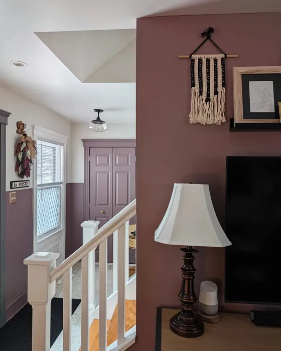 Benjamin Moore Cinnamon Slate hallway inspo