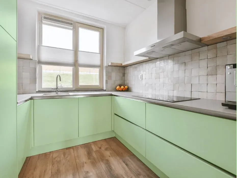 Benjamin Moore Citra Lime small kitchen cabinets