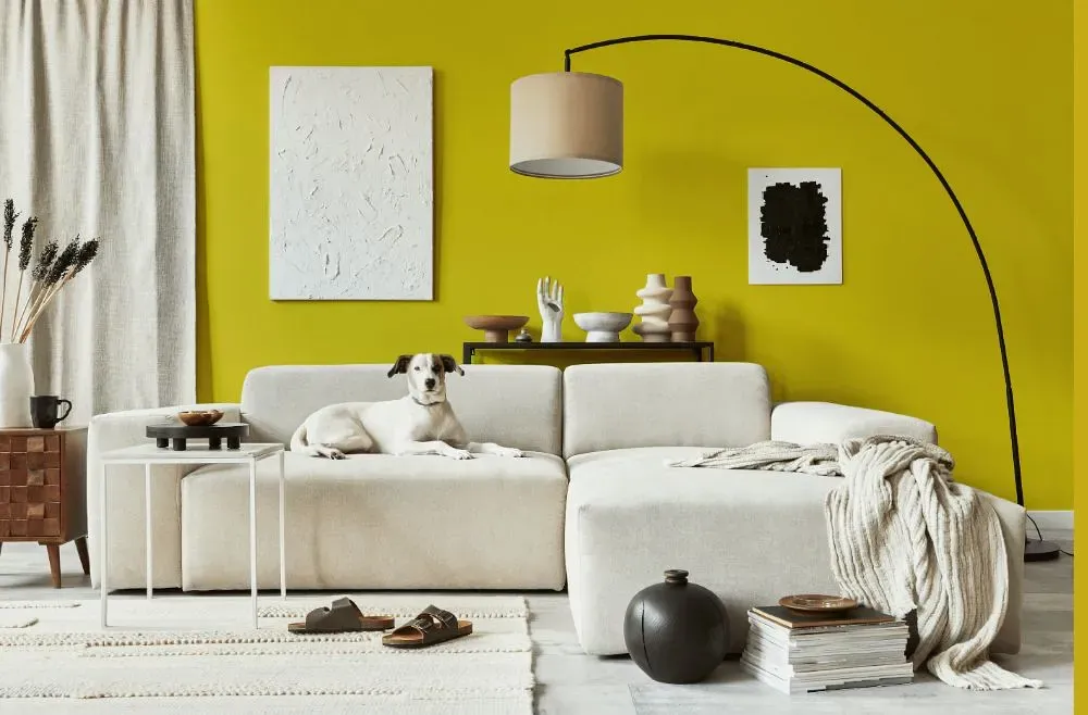 Benjamin Moore Citron cozy living room