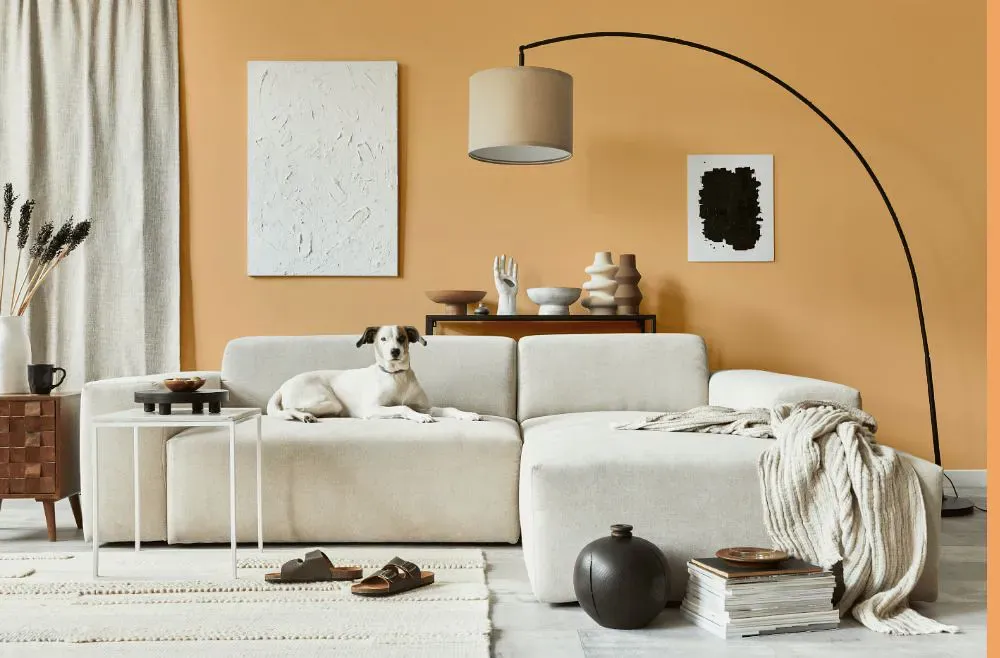 Benjamin Moore Citrus Blossom cozy living room