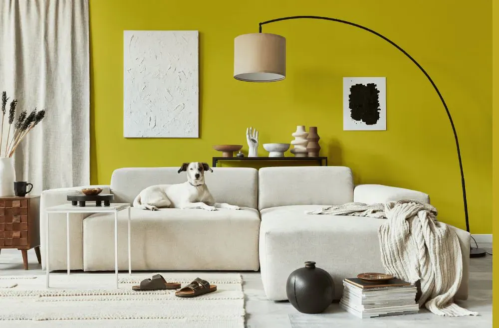 Benjamin Moore Citrus Burst cozy living room