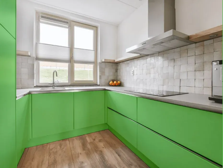 Benjamin Moore Citrus Green small kitchen cabinets