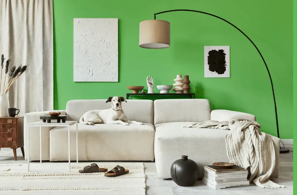 Benjamin Moore Citrus Green cozy living room