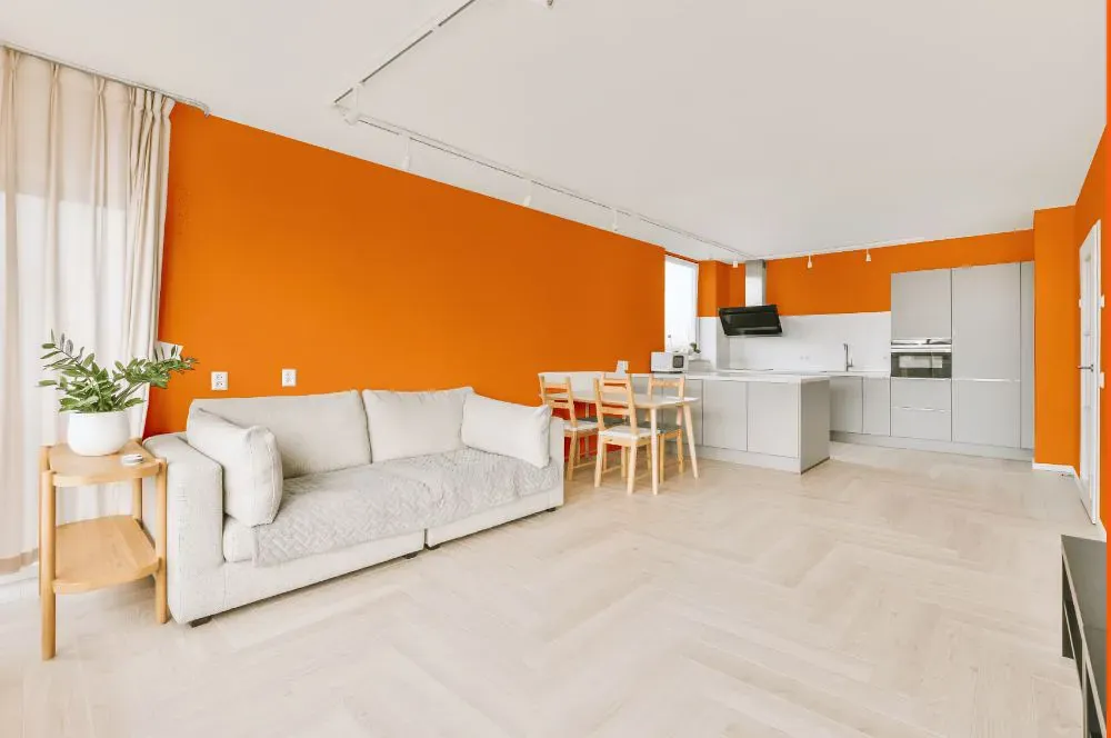 Benjamin Moore Citrus Orange living room interior