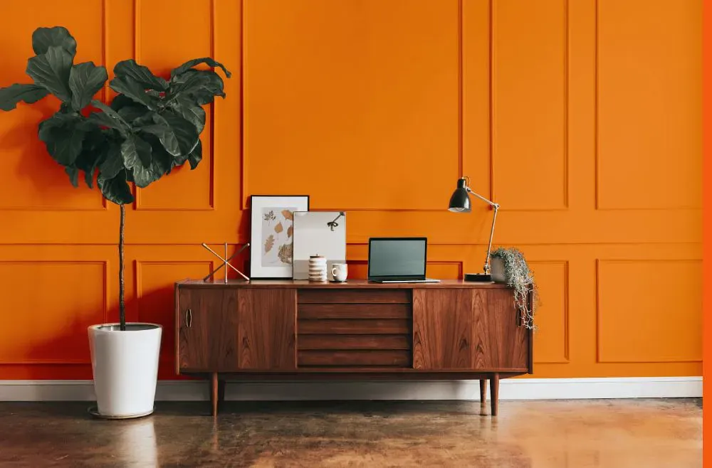 Benjamin Moore Citrus Orange modern interior