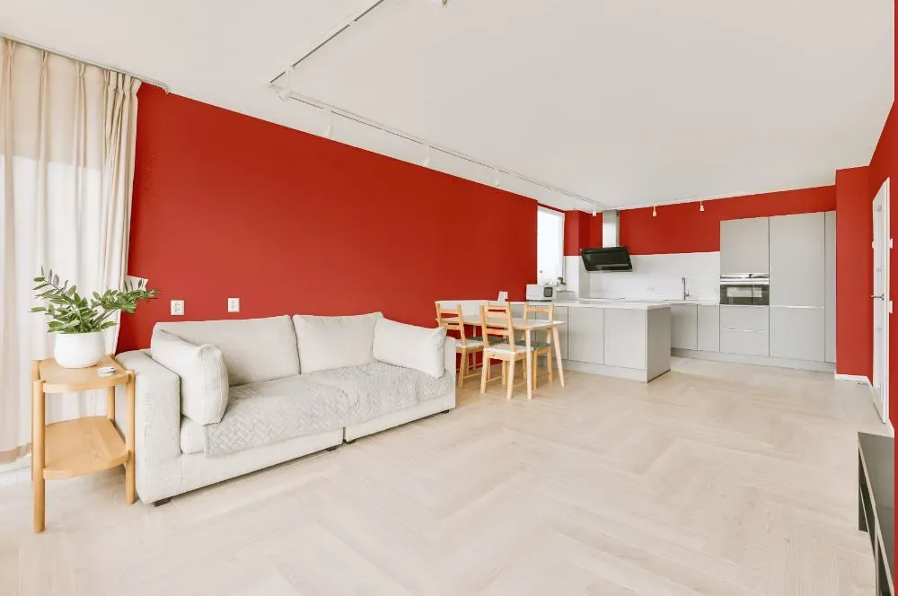 Benjamin Moore Claret Rose living room interior