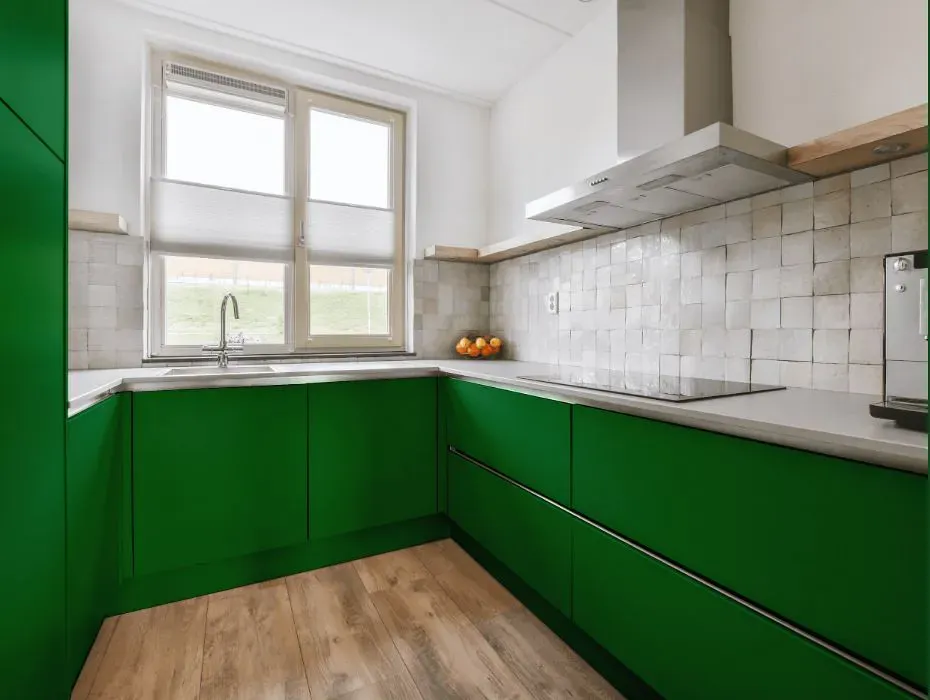 Benjamin Moore Clover Green small kitchen cabinets