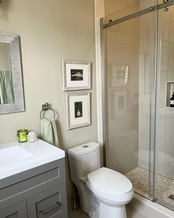 Benjamin Moore Florentine Plaster bathroom color