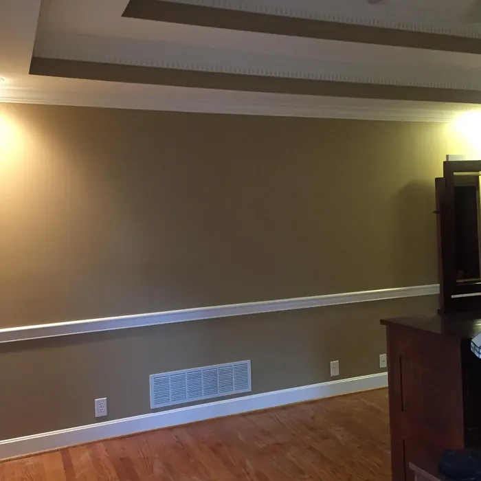 Coffeehouse Tan wall paint review