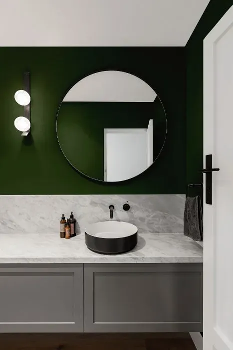 Benjamin Moore Colonial Verdigris minimalist bathroom