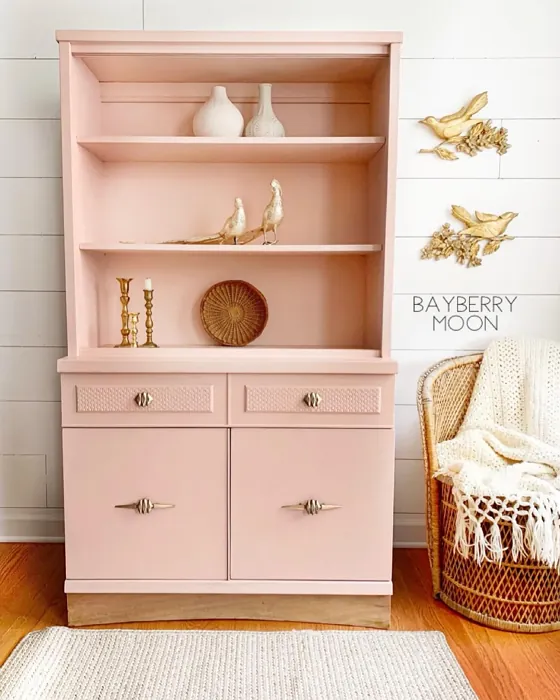 Benjamin Moore Conch Shell painted storage 