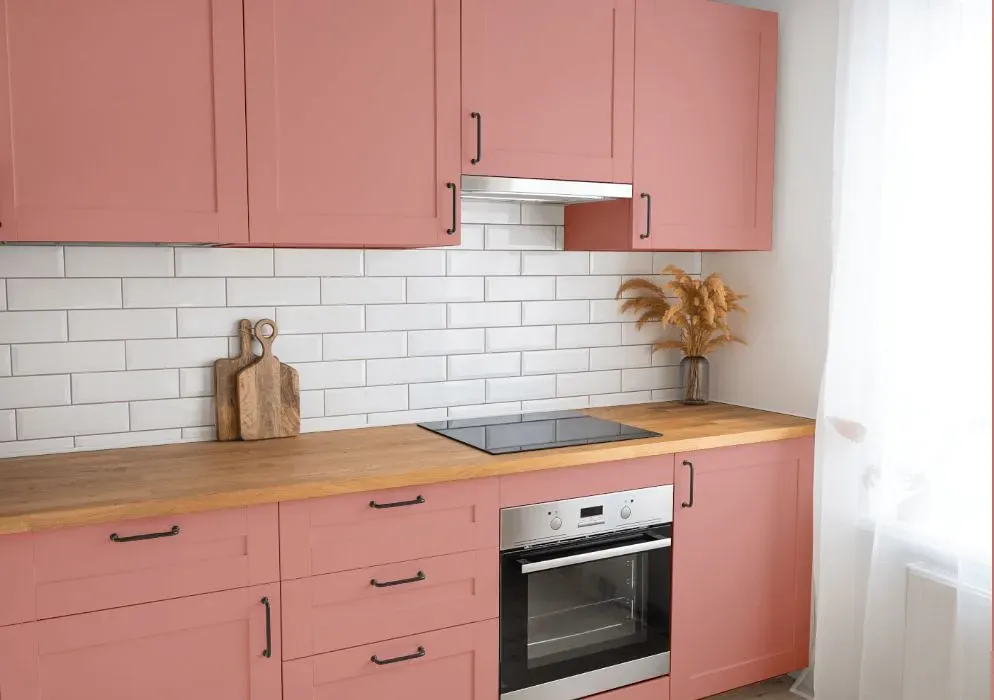 Benjamin Moore Cool Lava kitchen cabinets