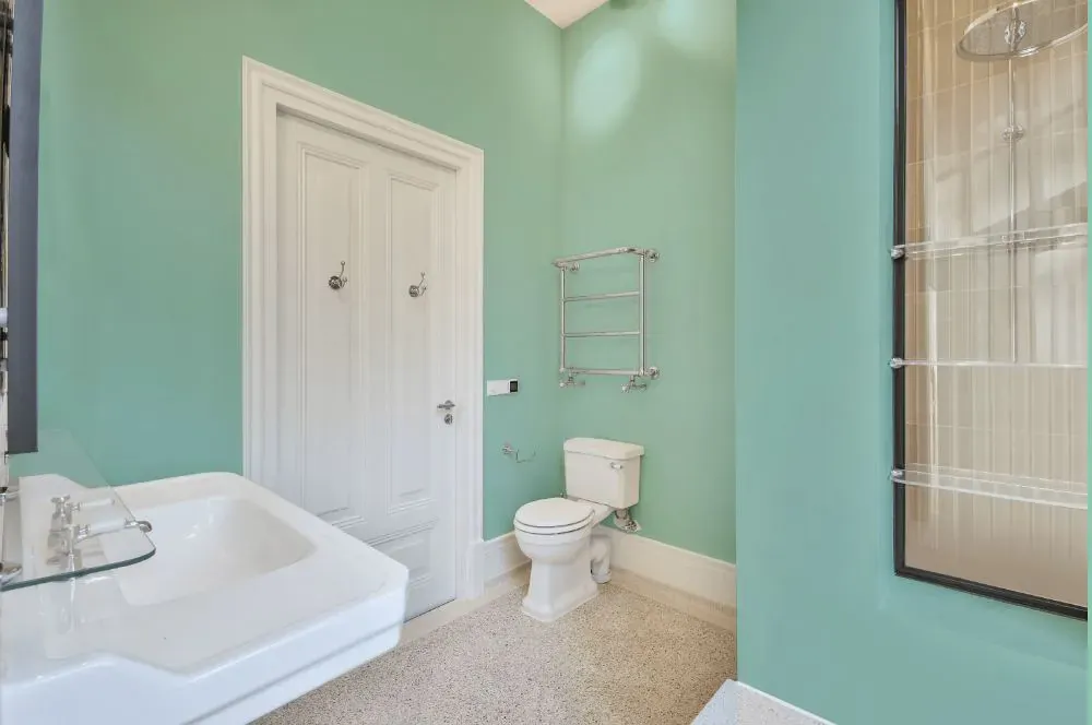 Benjamin Moore Copper Patina bathroom