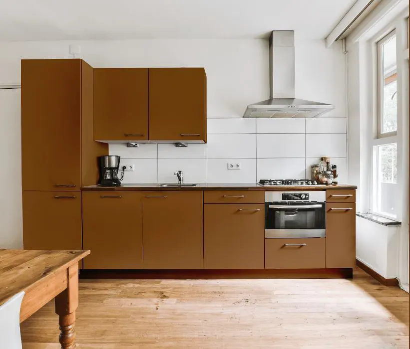 Benjamin Moore Coppertone kitchen cabinets
