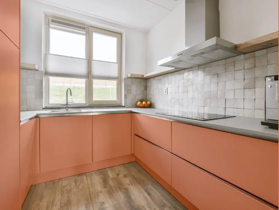 Benjamin Moore Coral Glow small kitchen cabinets