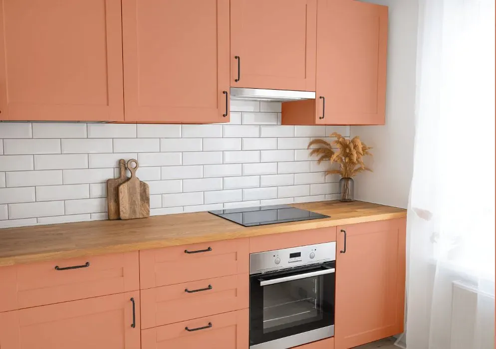 Benjamin Moore Coral Glow kitchen cabinets