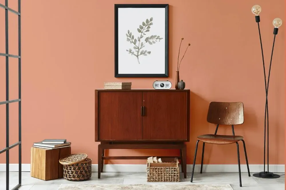 Benjamin Moore Coral Glow japandi interior