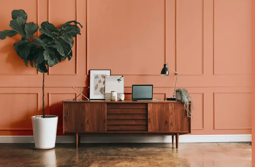 Benjamin Moore Coral Glow modern interior