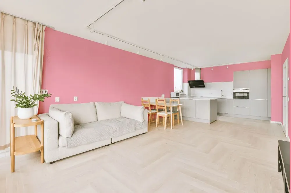Benjamin Moore Coral Pink living room interior