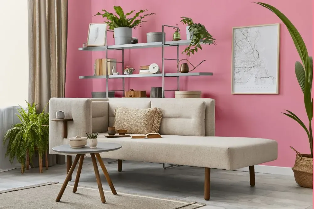 Benjamin Moore Coral Pink living room