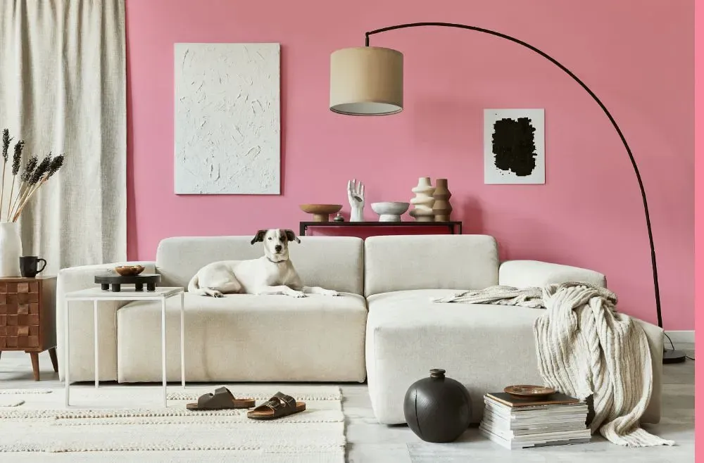 Benjamin Moore Coral Pink cozy living room