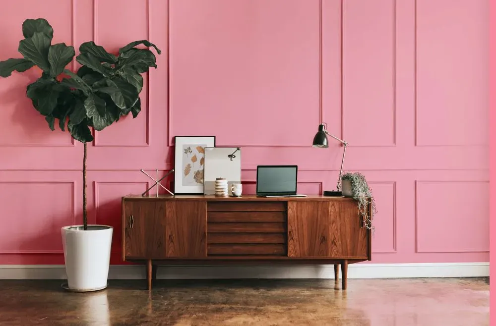Benjamin Moore Coral Pink modern interior