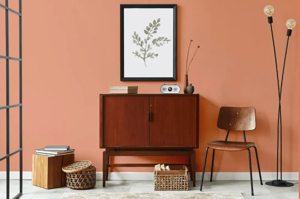 Benjamin Moore Coral Spice japandi interior