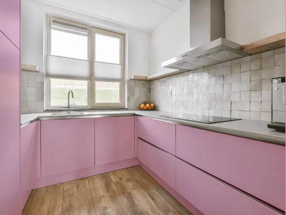 Benjamin Moore Countryside Pink small kitchen cabinets