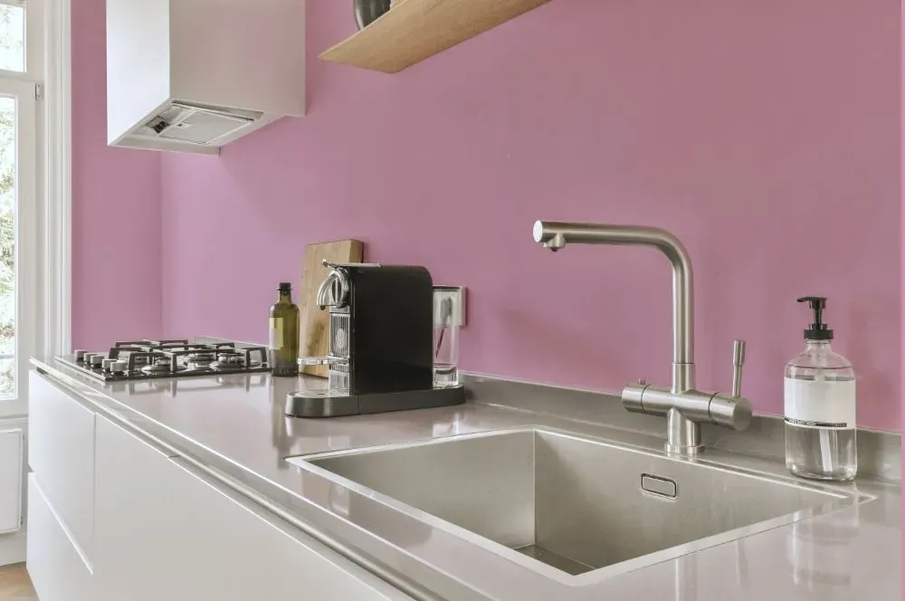 Benjamin Moore Countryside Pink kitchen painted backsplash