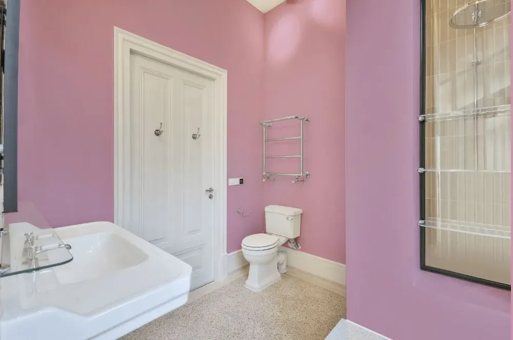 Benjamin Moore Countryside Pink bathroom