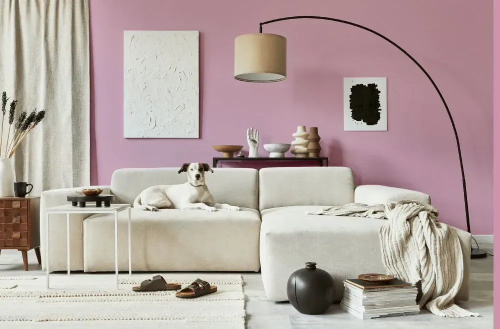 Benjamin Moore Countryside Pink cozy living room